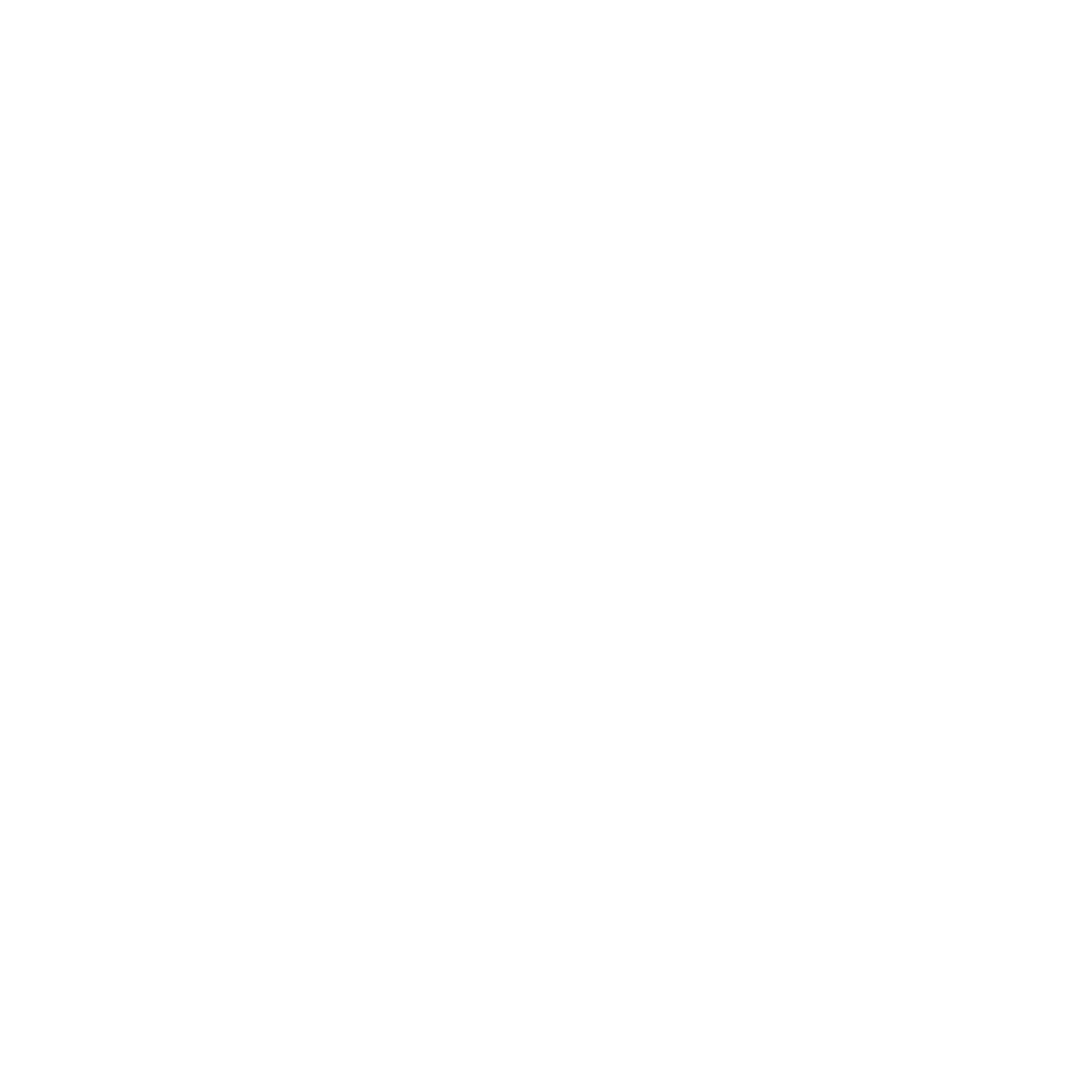FP_Logo_only_white